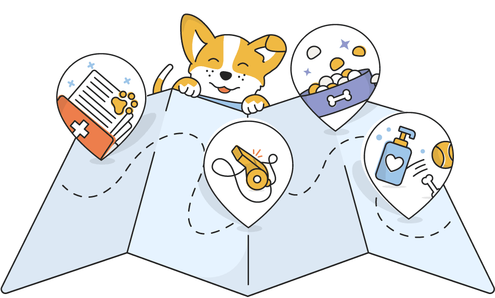 Best life vectors map